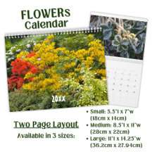 Beautiful Flower Photo -