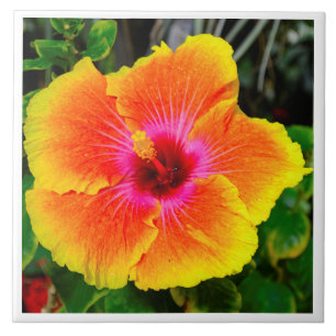 Beautiful flower photo image. ceramic tile