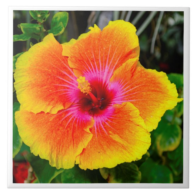 Beautiful flower photo image. ceramic tile (Front)