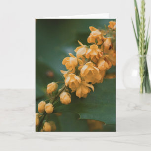 Beautiful flower photography blank card