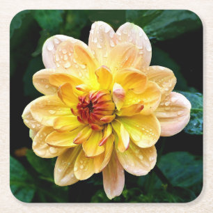 Beautiful Flower Square Paper Coaster