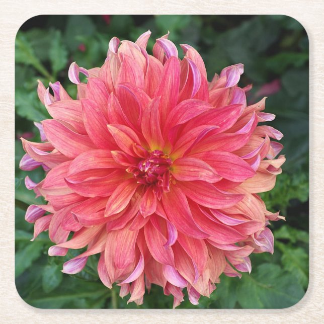 Beautiful Flower Square Paper Coaster (Front)