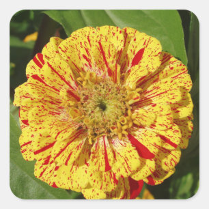Beautiful Flower Sticker Set