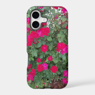 Beautiful Flowers