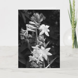 Beautiful Flowers Black and White Mother's Day Card