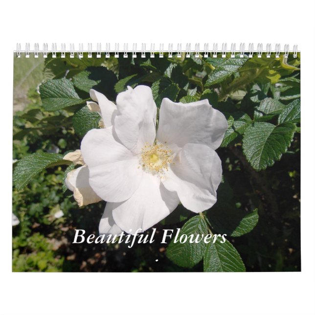 Beautiful Flowers Calendar (Cover)
