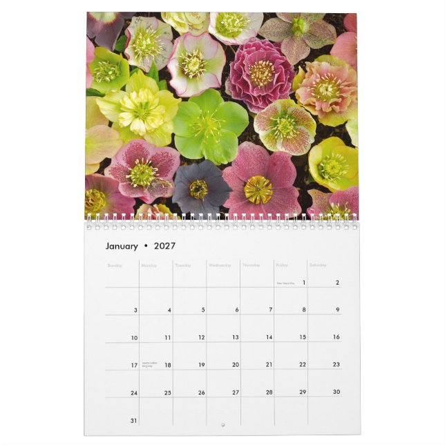 Beautiful Flowers calendar 2013 (Jan 2027)