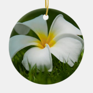 Beautiful Flowers Close-Up - Ornaments