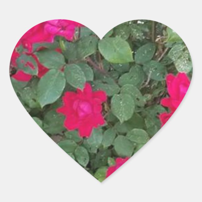 Beautiful Flowers Heart Sticker (Front)