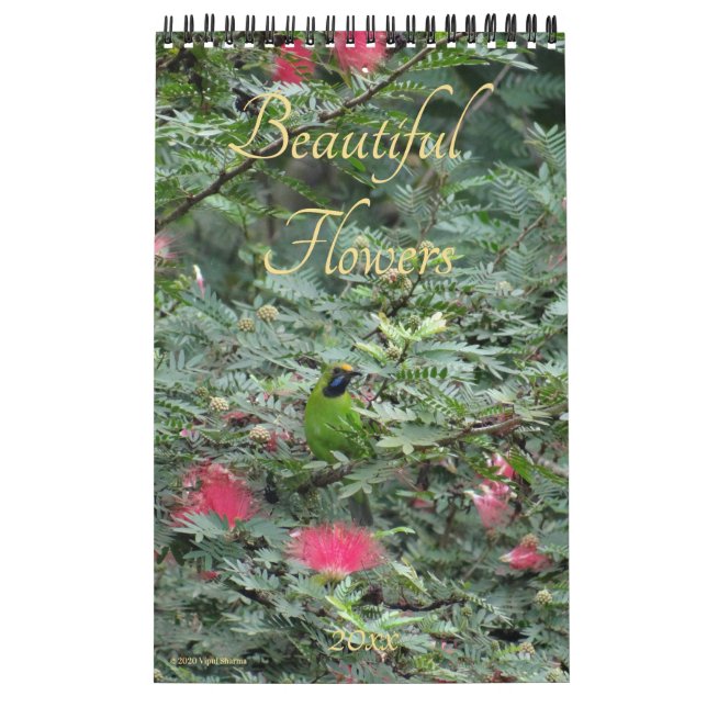 Beautiful Flowers Nature Photography 2026 Wall Calendar (Cover)