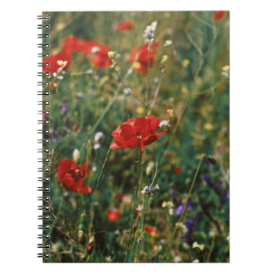 BEAUTIFUL FLOWERS NOTEBOOK