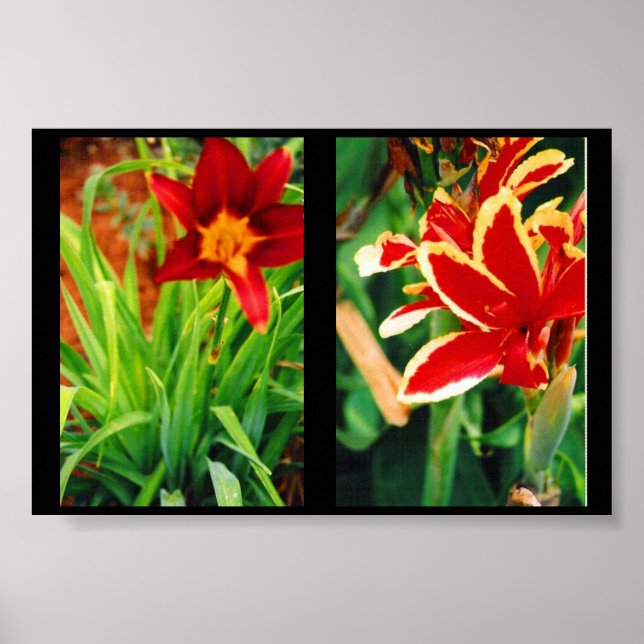 Beautiful Flowers Poster (Front)