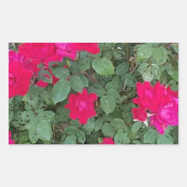 Beautiful Flowers Rectangular Sticker (Front)