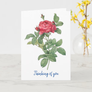 BEAUTIFUL FLOWERS SYMPATHY CARD