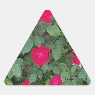Beautiful Flowers Triangle Sticker