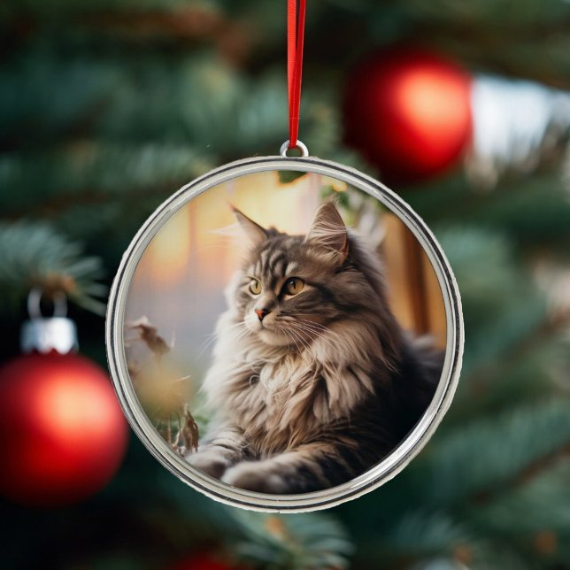 Beautiful Fluffy Cat Ornament (Creator Uploaded)