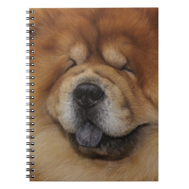BEAUTIFUL FLUFFY RED CHOW CHOW DOG NOTEBOOK (Front)