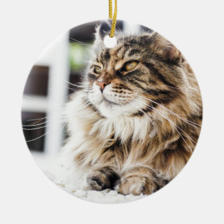 Beautiful fluffy tabby Siberian Persian cat design Ceramic Ornament
