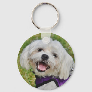 Beautiful Fluffy White Maltese Puppy Dog Key Ring