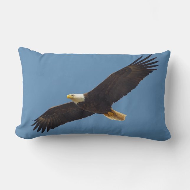 Beautiful Flying Eagle Print Throw Pillow (Front)