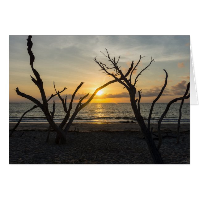 Beautiful Folly Morning (Front Horizontal)