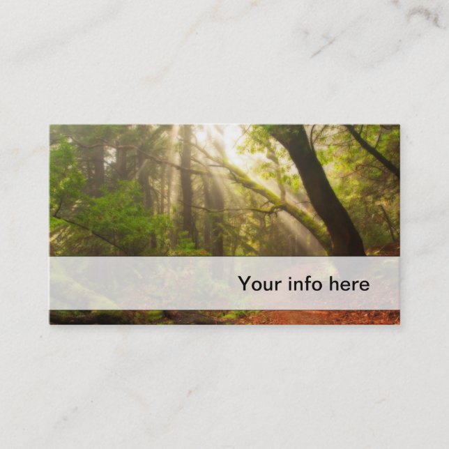 Beautiful forest business card (Front)