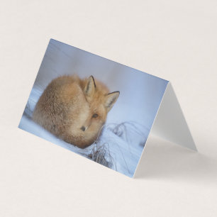 Beautiful Fox Blank Card