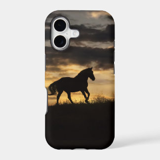 Beautiful Free Horse Sunset Silhouette