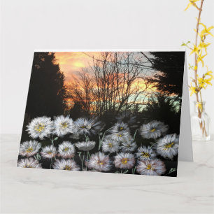 Beautiful, Fresh Daisies Against A Winter's Sunset Card