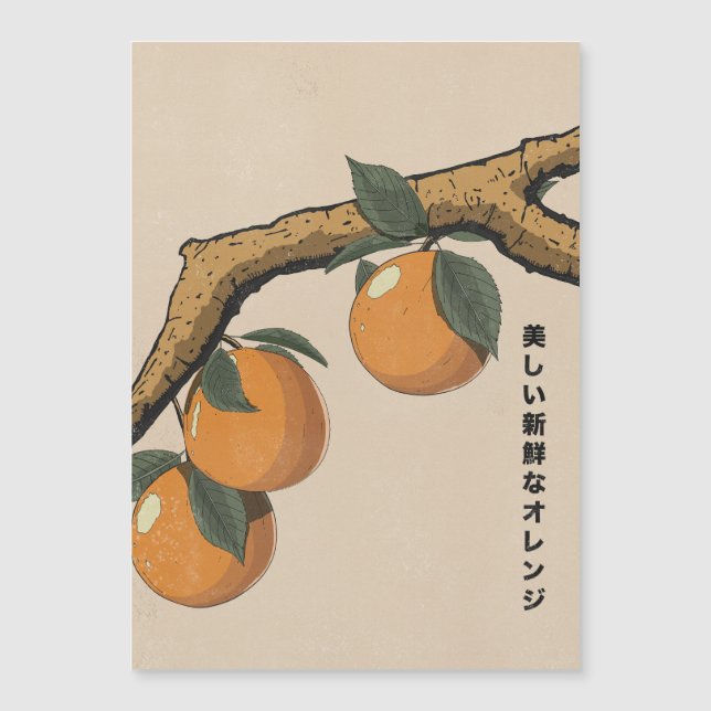Beautiful Fresh Oranges (Front)