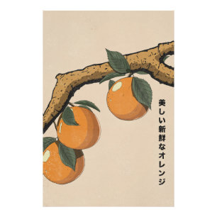 Beautiful Fresh Oranges Photo Print