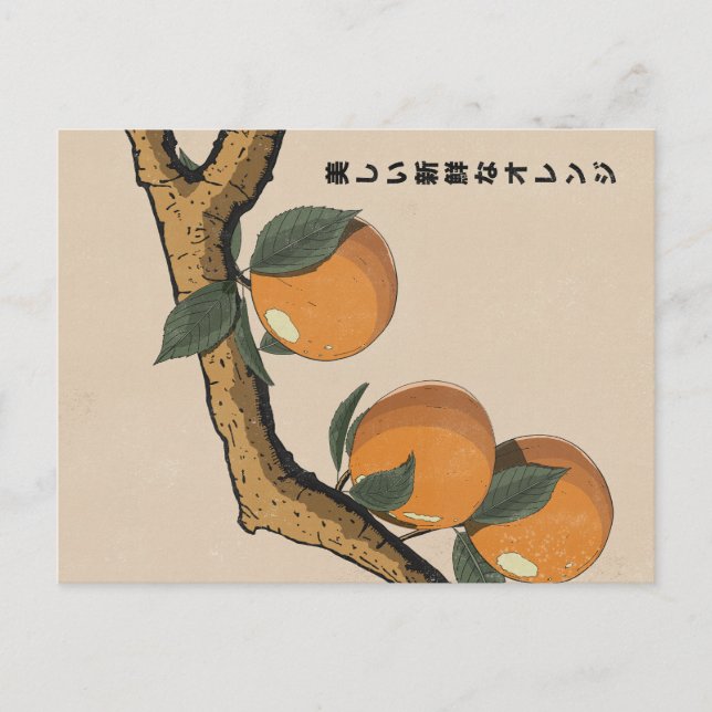 Beautiful Fresh Oranges Postcard (Front)