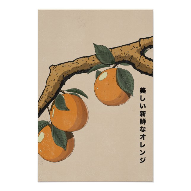 Beautiful Fresh Oranges Poster (Front)