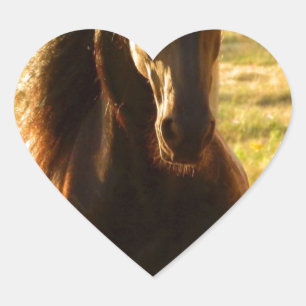 BEAUTIFUL FRIESIAN HORSE STALLION HEART STICKER