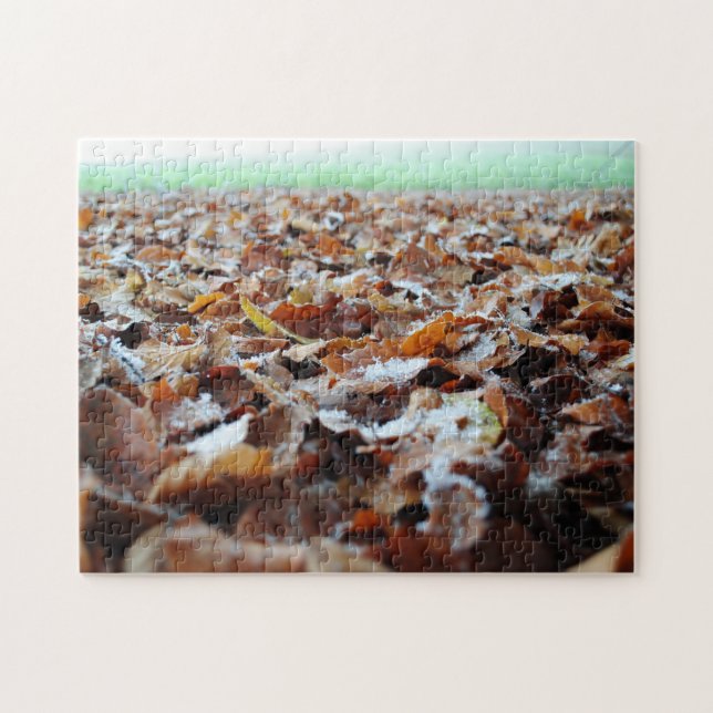 Beautiful Frosty Autumn Fall Leaves Forest Walking Jigsaw Puzzle (Horizontal)
