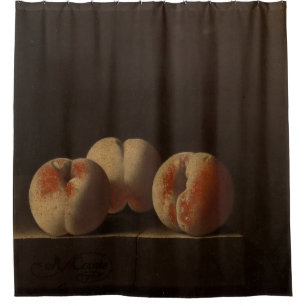 Beautiful Fruits Shower Curtain