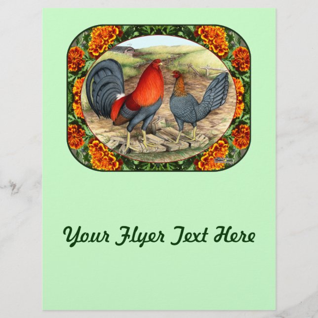 Beautiful Game Fowl Flyer (Front)