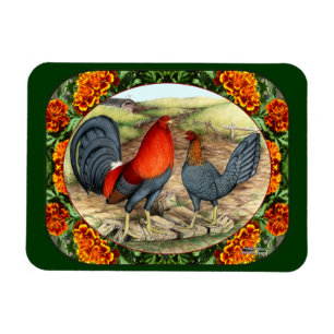 Beautiful Game Fowl Magnet