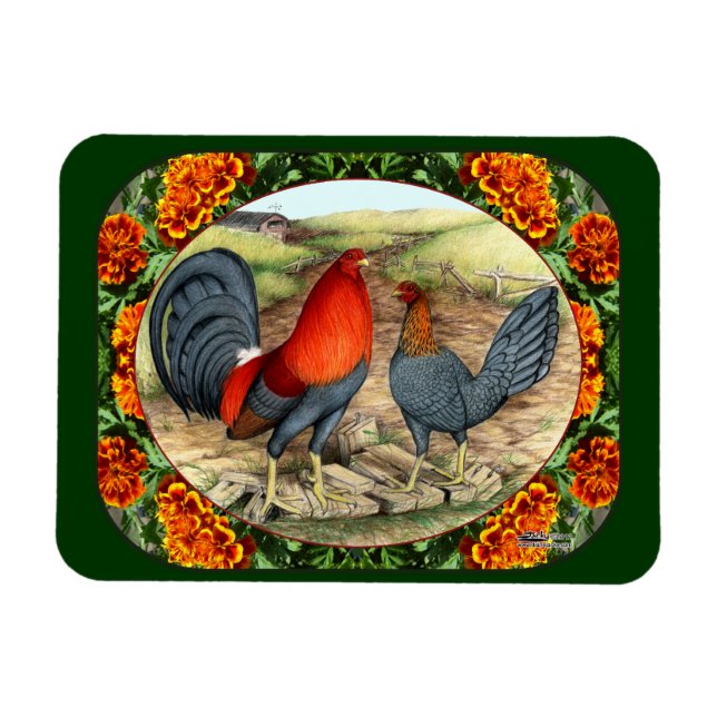 Beautiful Game Fowl Magnet (Horizontal)