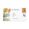 Beautiful Garden of Flowers Card