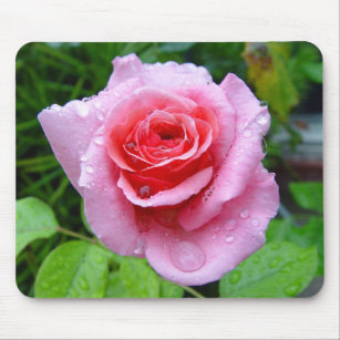 Beautiful Garden Single Wet Pink Rose Mousepad