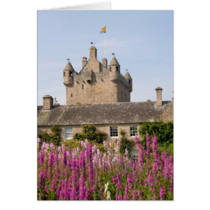 Beautiful gardens and famous castle in Scotland 2