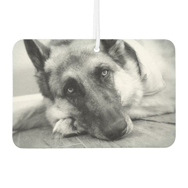 Beautiful German Shepherd Car Air Freshener (Front)