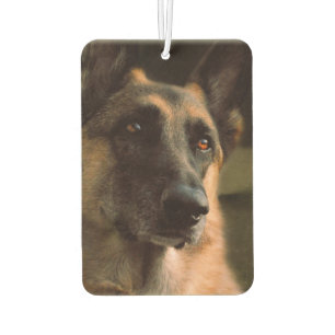 Beautiful German Shepherd Car Air Freshener