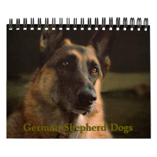 Beautiful German Shepherd Dog Calendar