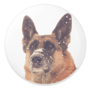 Beautiful German Shepherd Dog Photo Drawer Pulls