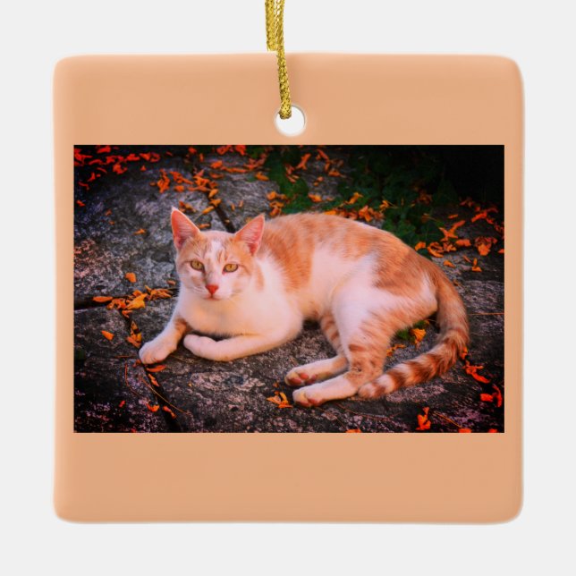 Beautiful ginger cat ceramic ornament (Front)