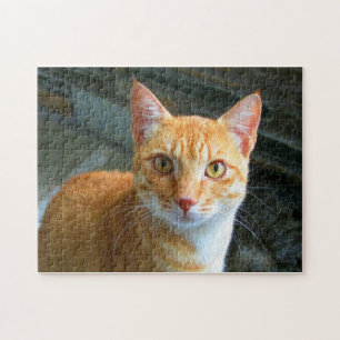 Beautiful Ginger Cat Jigsaw Puzzle