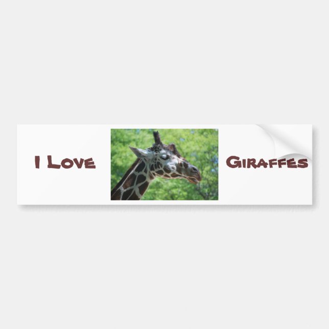 Beautiful Giraffe Bumper Sticker (Front)