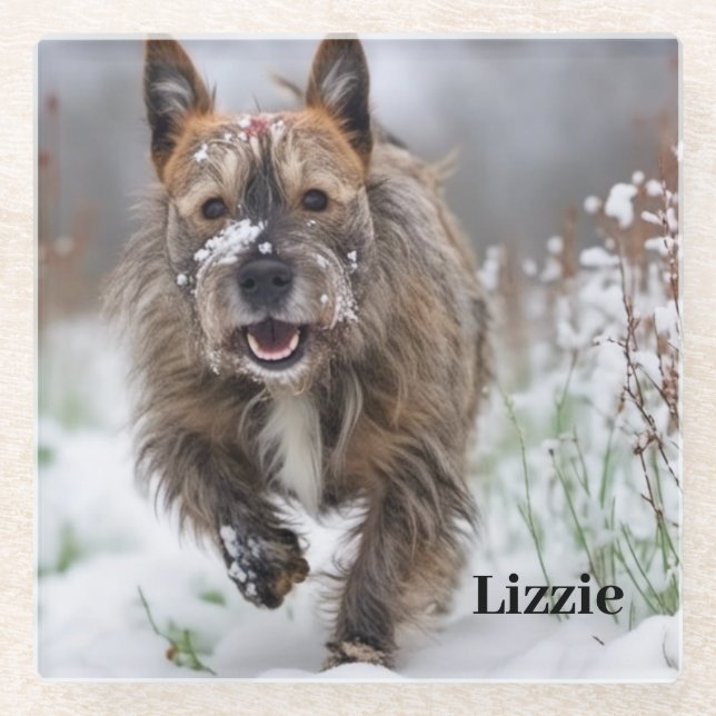 Beautiful Glass Coaster. Add your own picture/name Glass Coaster (Front)